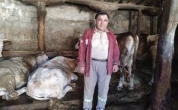 Aynı süt farklı fiyat: Emeklilere 60 TL, asgari ücretlilere 70 TL, memura ise 100 TL