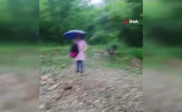 Bartın’da Derme Çatma Köprüyle Evlere Ulaşım Zorluğu